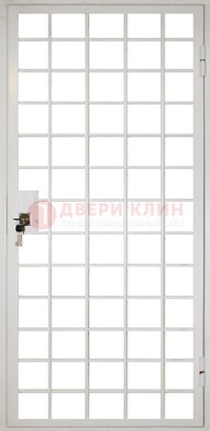 Белая металлическая решетчатая дверь ДР-2 в Липецке