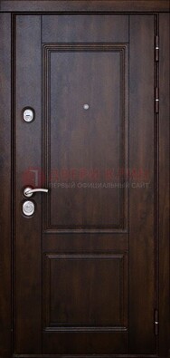 Темная железная дверь с виноритом ДВТ-4 в Липецке